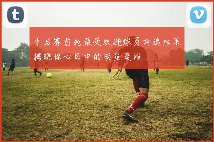 季后赛首轮最受欢迎球员评选结果揭晓你心目中的明星是谁